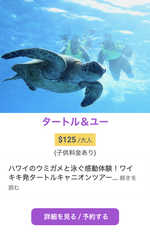 ハワイ ウミガメとシュノーケルツアー