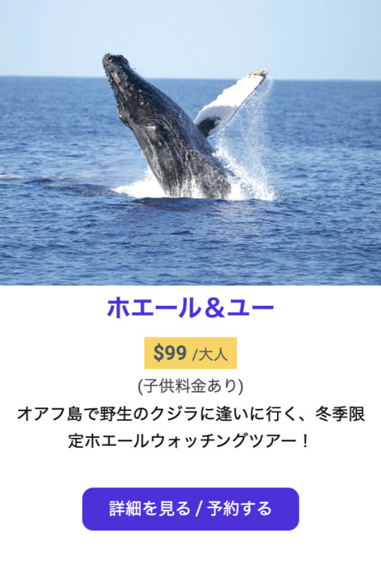 ハワイ　ホエールウォッチングツアー