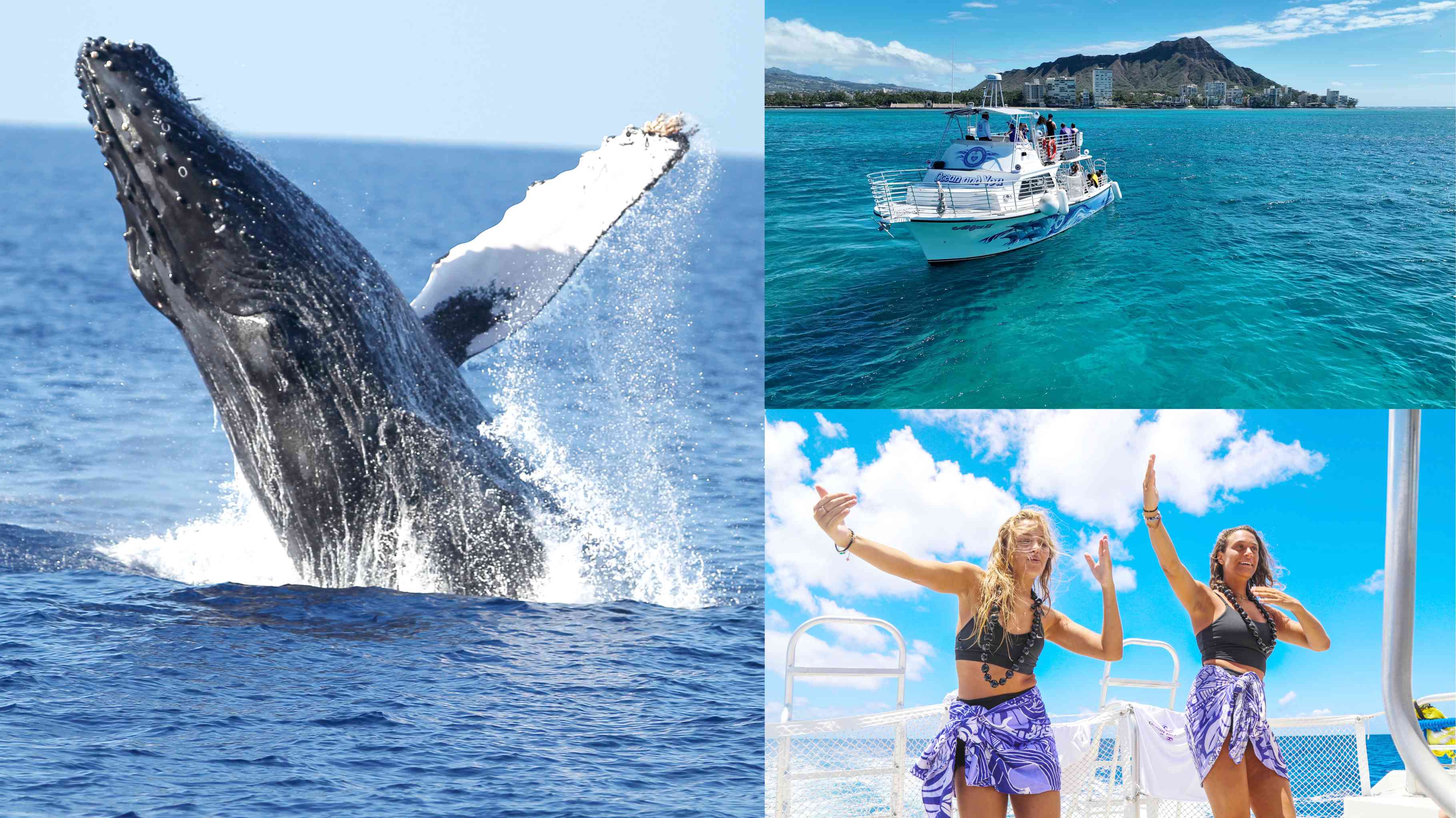 Whales and You Hawaii - seasonal humpback whale watching with hydrophone