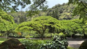 Kaʻapuni o Waimea