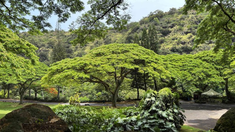 Kaʻapuni o Waimea