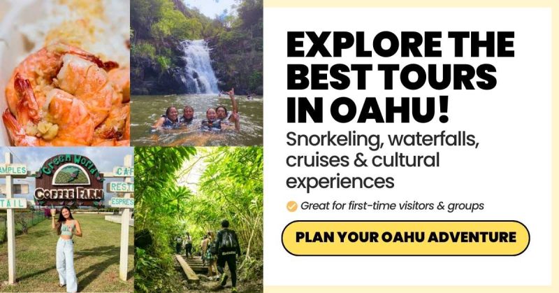 Explore the best tours in Oahu