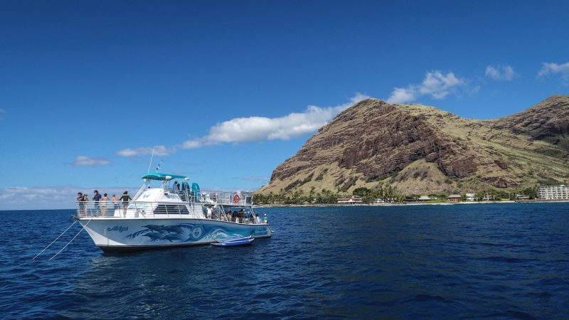 hawaii dolphin watching boat
