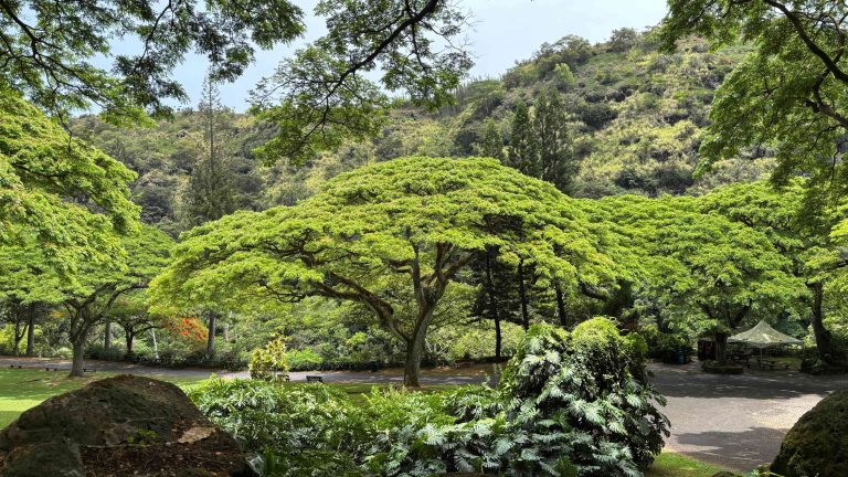 Kaʻapuni o Waimea