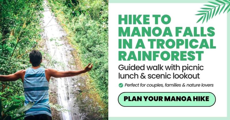 Manoa Valley rainbow tour with Nature and You - guided hike to Manoa Falls