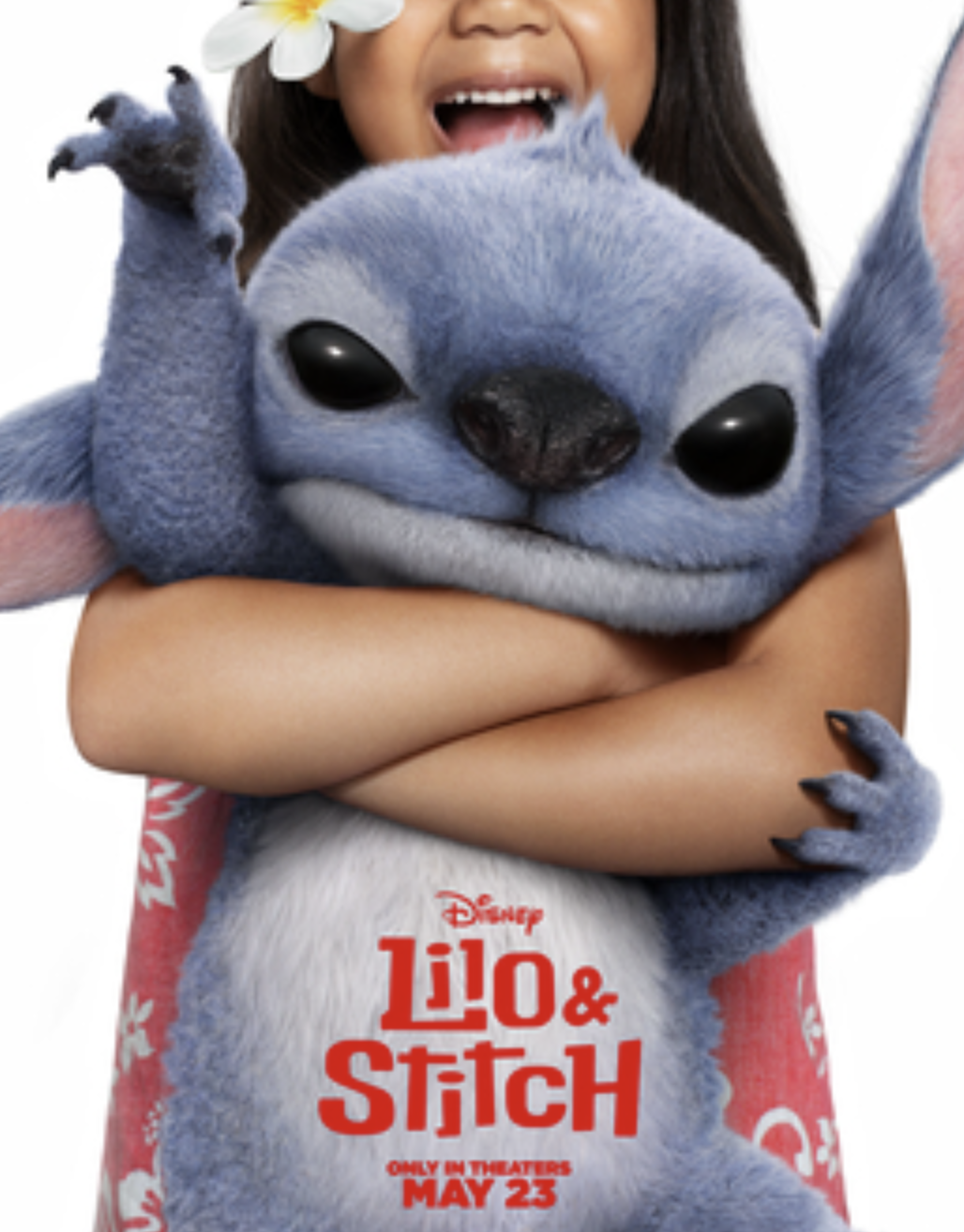 You are currently viewing Discover Lilo & Stitch’s Oahu Filming Locations