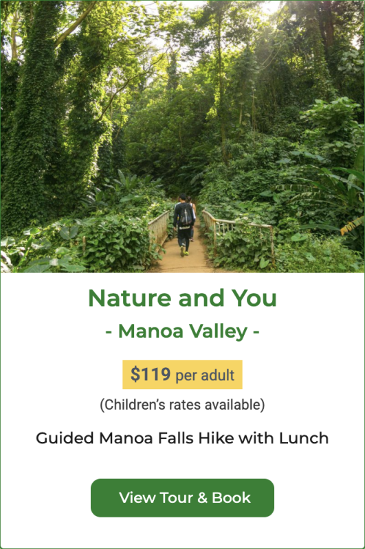 Manoa Falls hiking tour