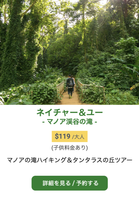 タンタラスの丘＆マノアの滝ハイキングツアー