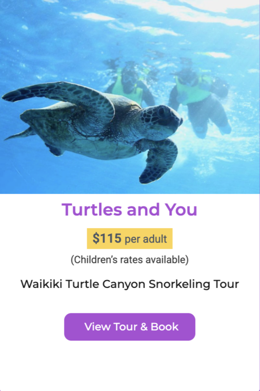 Waikiki Turtle snorkeling tour