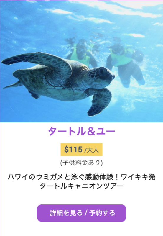 ハワイ　ウミガメとシュノーケルツアー