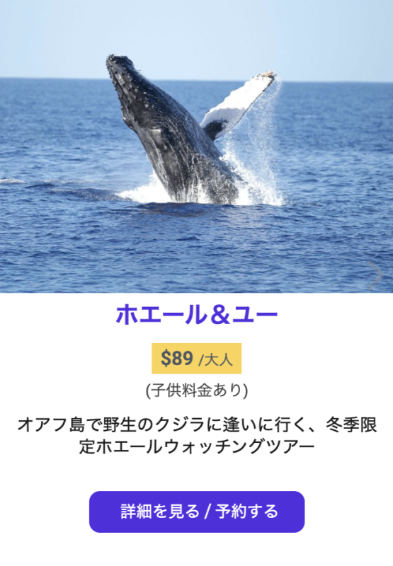 ハワイ　ホエールウォッチング