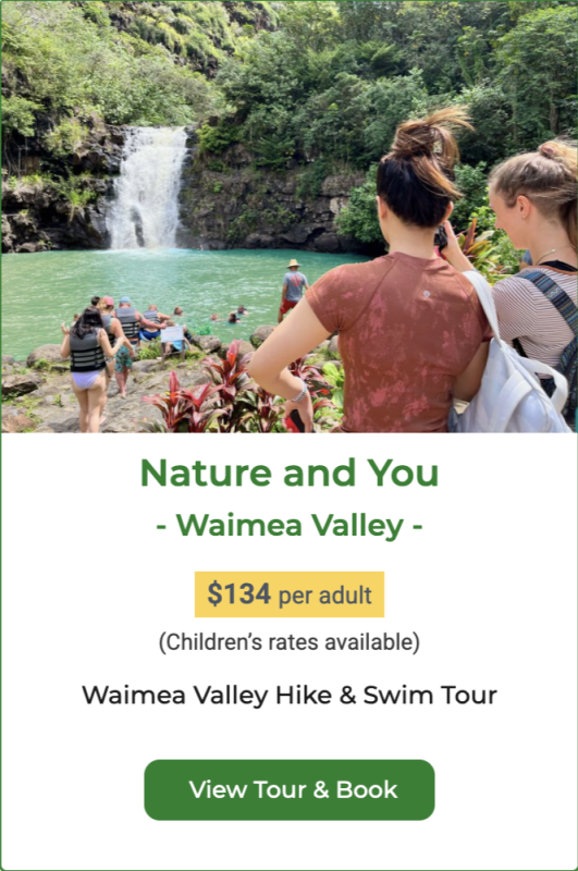 Waimea Waterfall hike and Swim tour