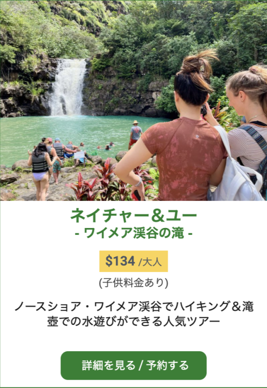 ハワイ　ワイメアの滝ツアー