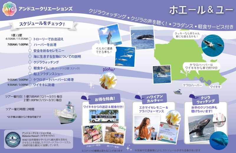 ハワイ　ホエールウォッチング