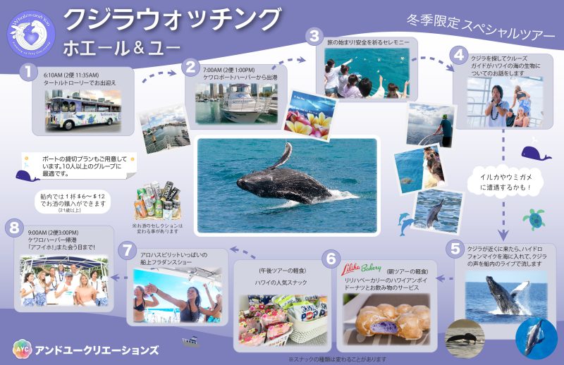 ホエールウォッチングツアー