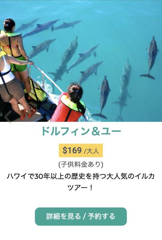 ハワイ　ドルフィンウォッチングツアー