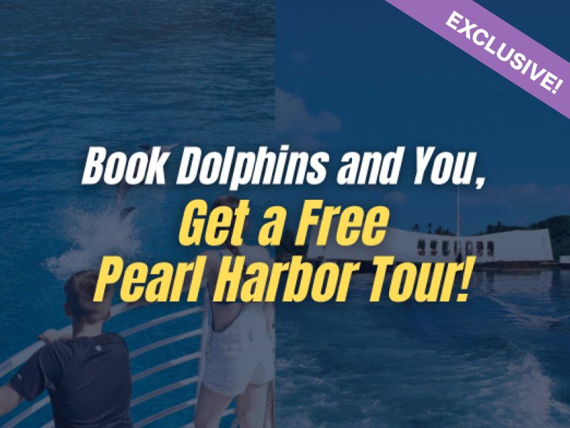 Pearl Harbor and Dolphin watching combo