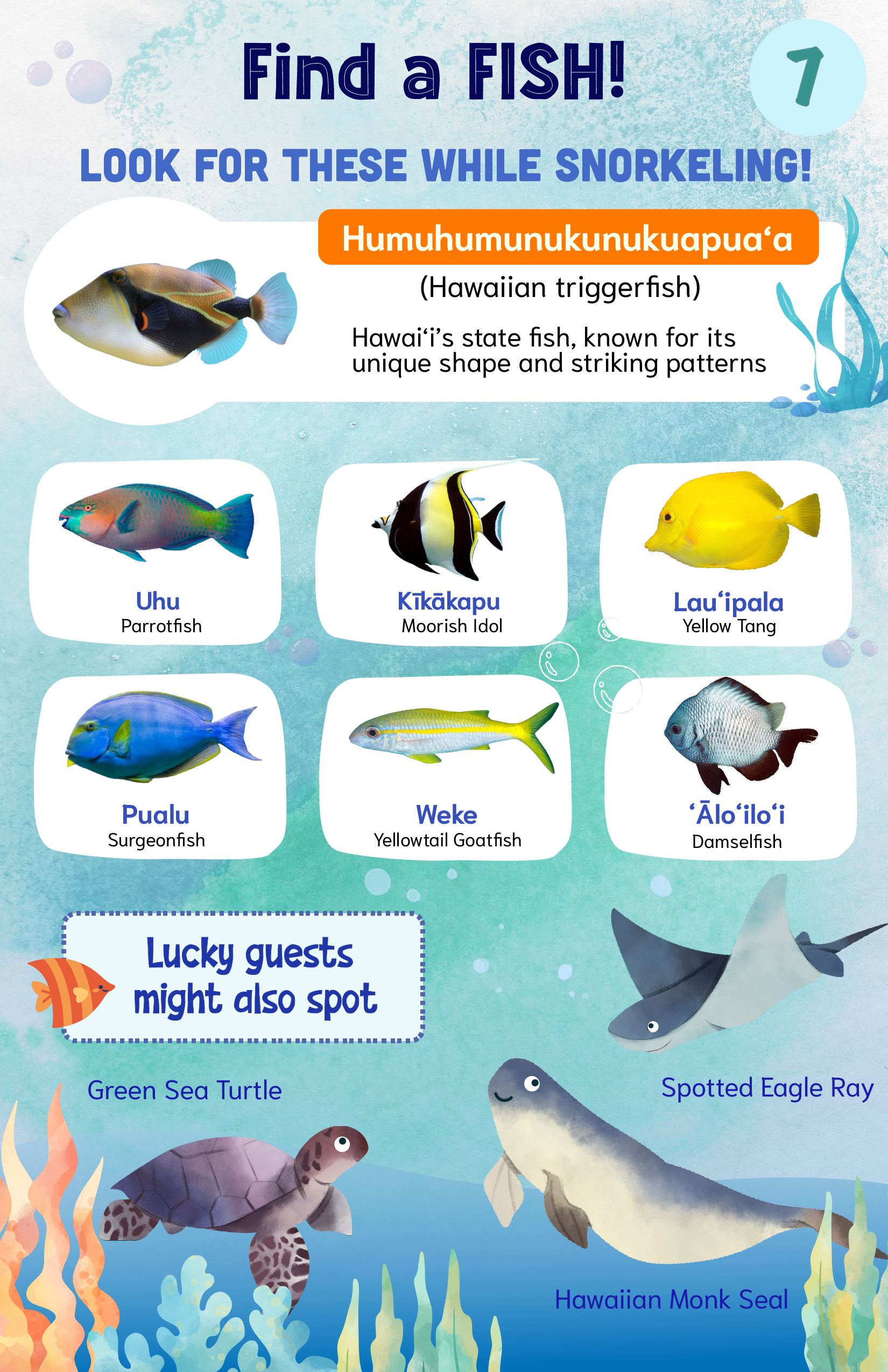 Haawi-Ocean-Fish_ENG