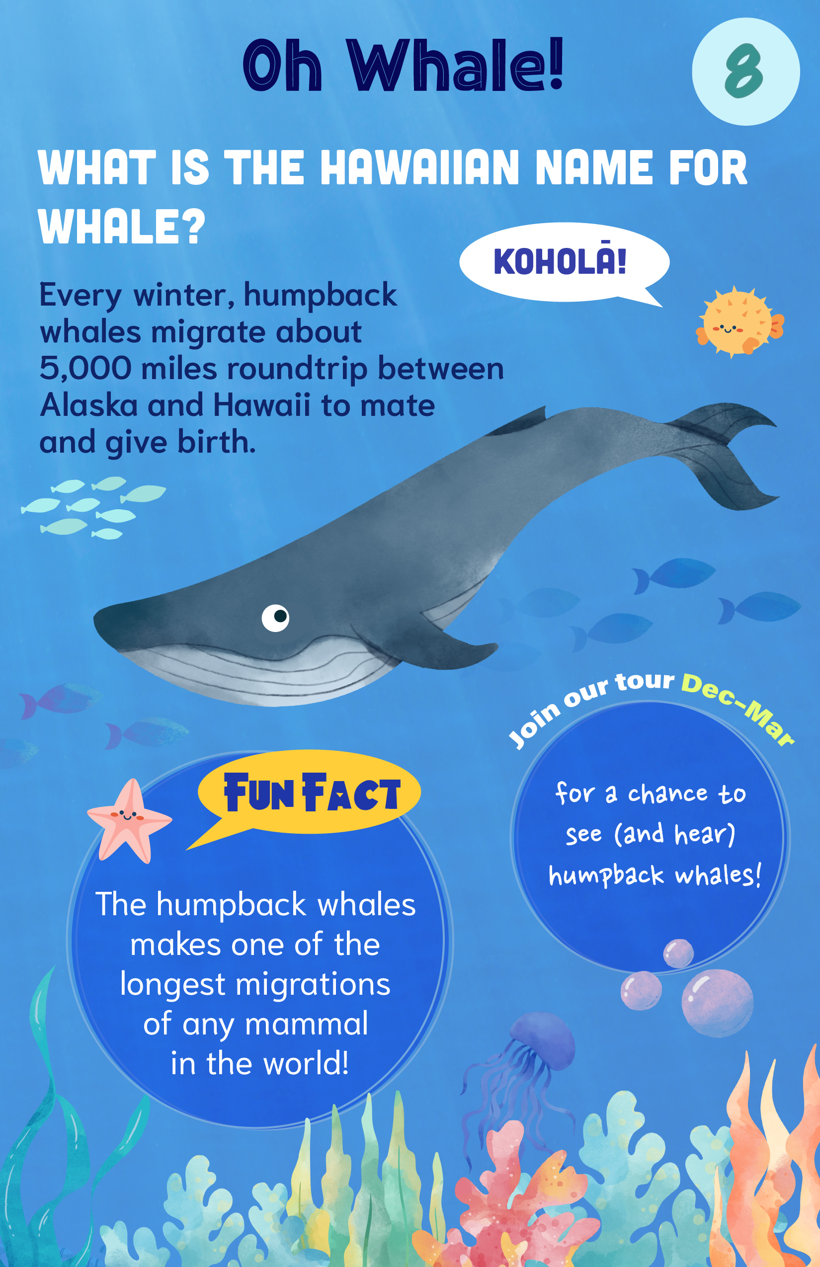 Haawi-Ocean-Whale_ENG