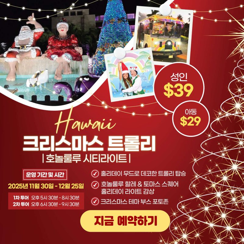 하와이 크리스마스 홀리데이 트롤리