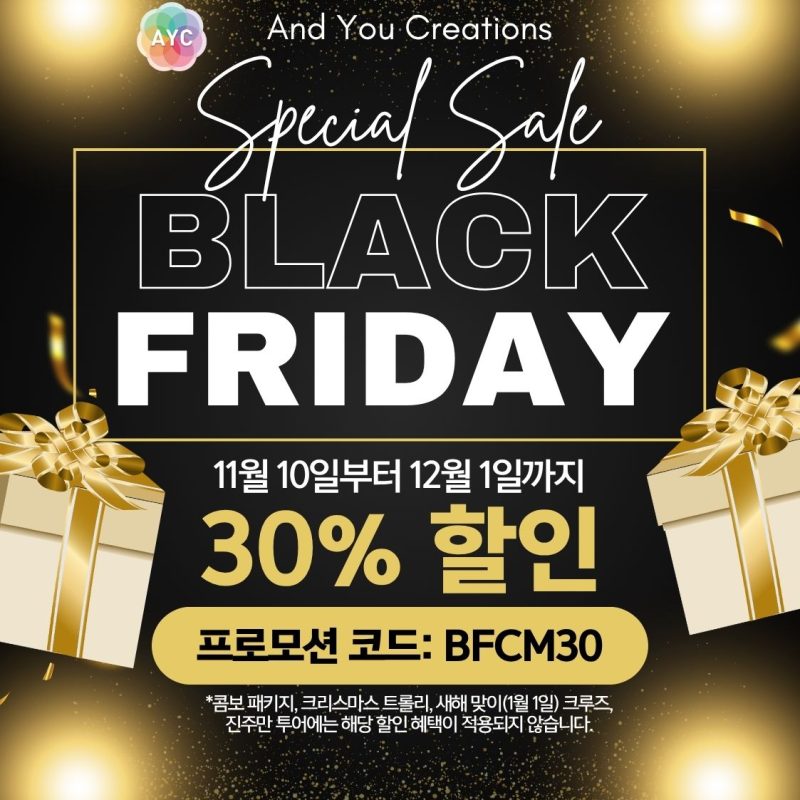 하와이 투어 블랙프라이데이 할인