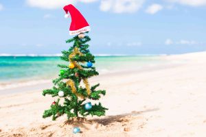 ハワイの思い出になる体験をプレゼント！クリスマスプレゼントにも最適！