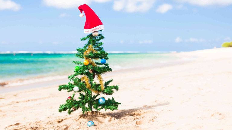 Chirstmas in Hawaii