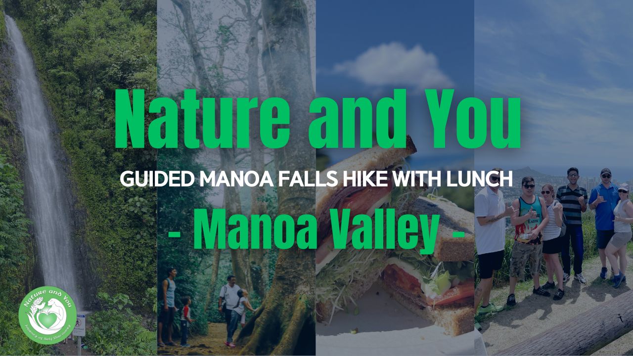 Manoa waterfall hiking video