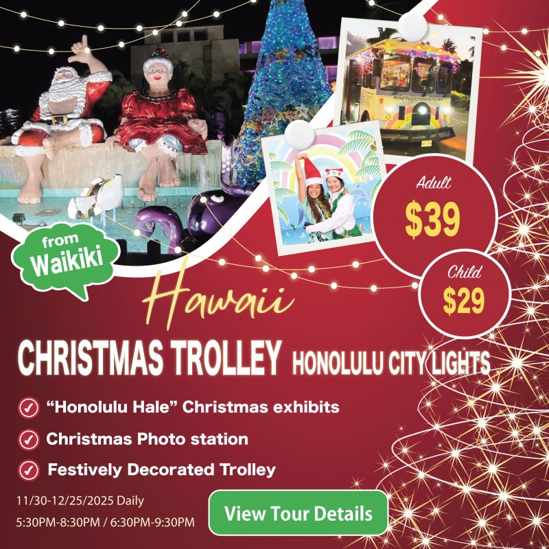 Honolulu city lights Trolley