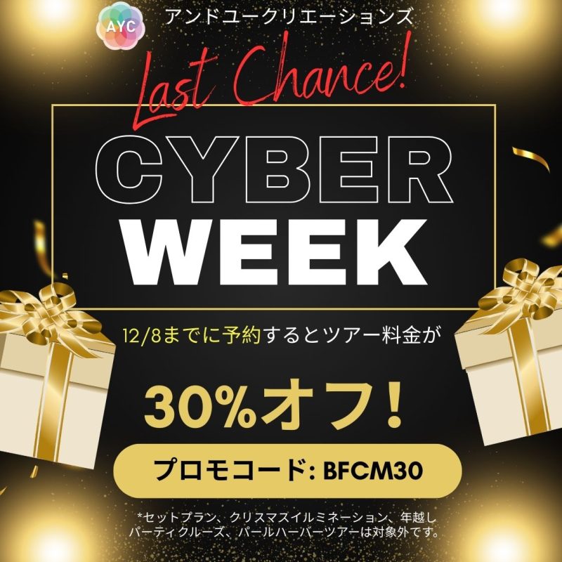 サイバーマンデー　セール