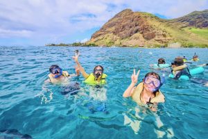 ハワイで体験する野生イルカツアー が【お得なパッケージプランで30%オフ】