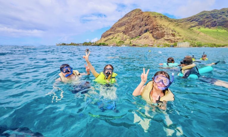 イルカ　シュノーケリング