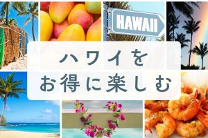 【コスパ抜群！】ハワイ現地オプショナルツアー/ワイメア渓谷の滝/オアフ島観光一周ツアー