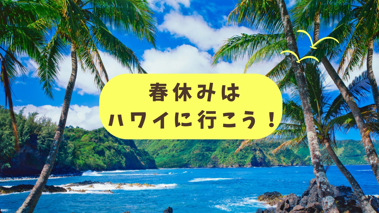 You are currently viewing 春休みのハワイ旅行 オアフ島観光におすすめ！AYCのオプショナルツアーでスペシャルタイムを！
