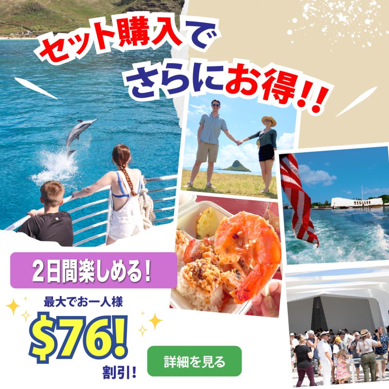 お得なセット割引き