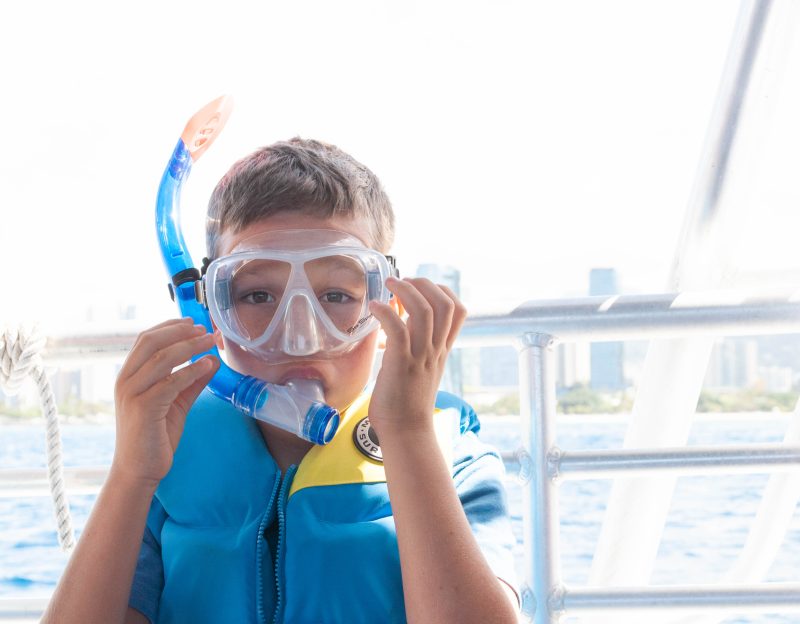 waikiki turtle snorkeling