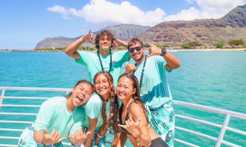 friendly dolphins crew