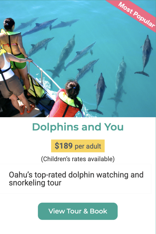 Most Popular tour in Oahu