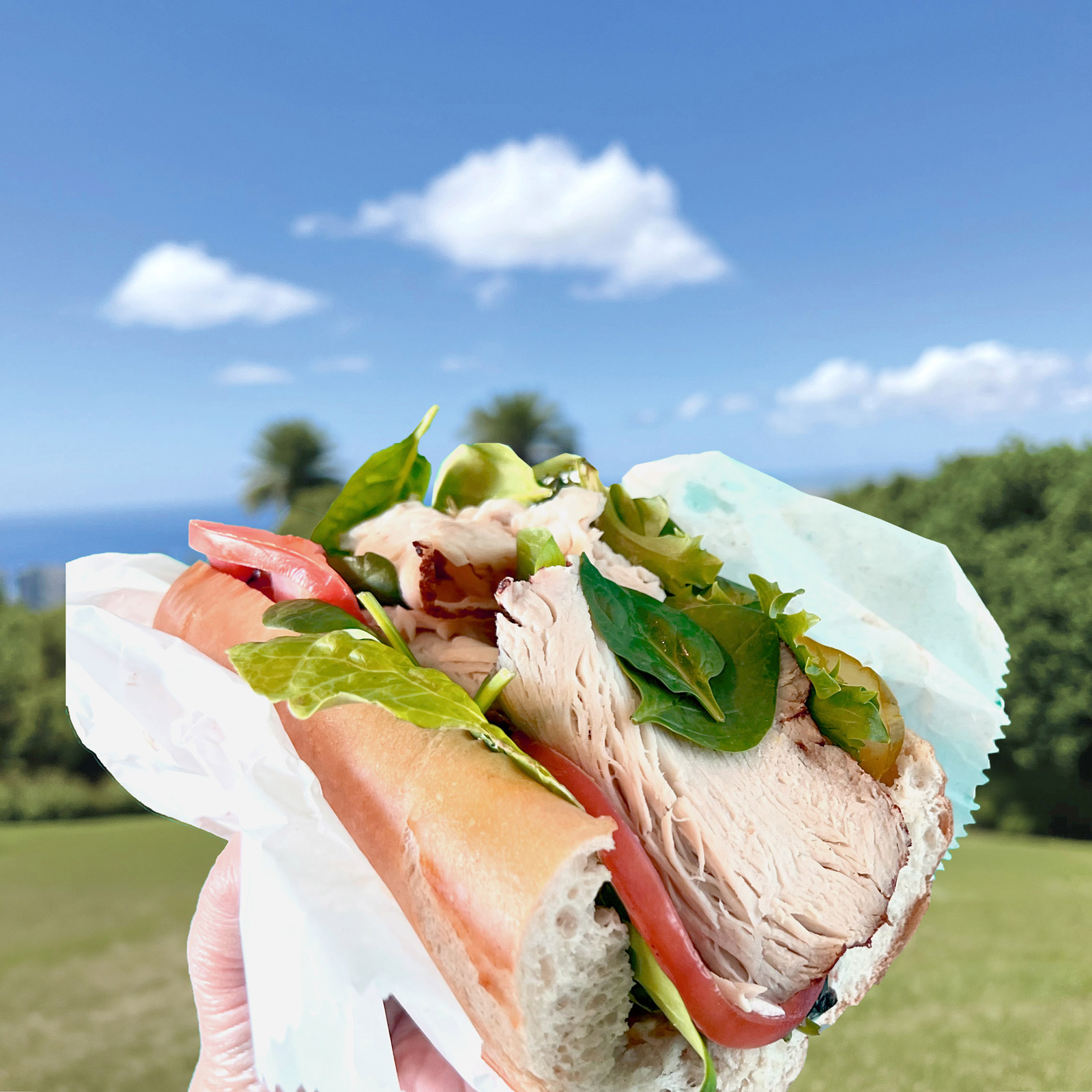 Manoa fall hiking lunch