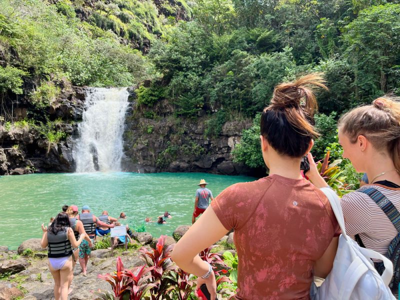 Waimea waterfall hike & swim