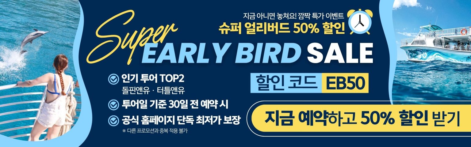 돌핀앤유 슈퍼 얼리버드