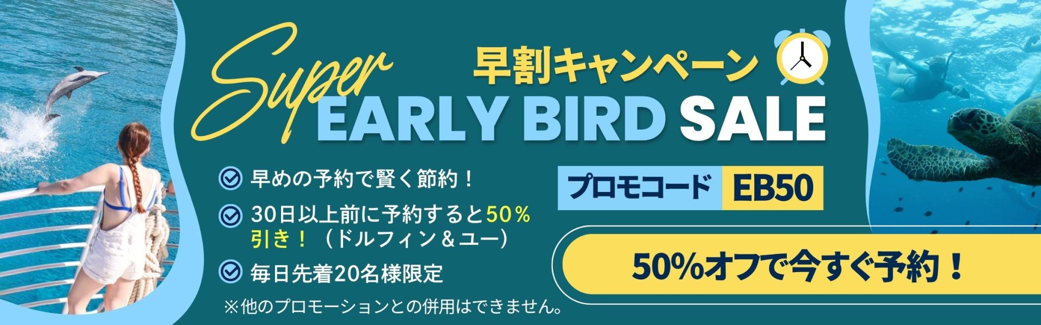 イルカツアー　早割５０％オフ キャンペーン