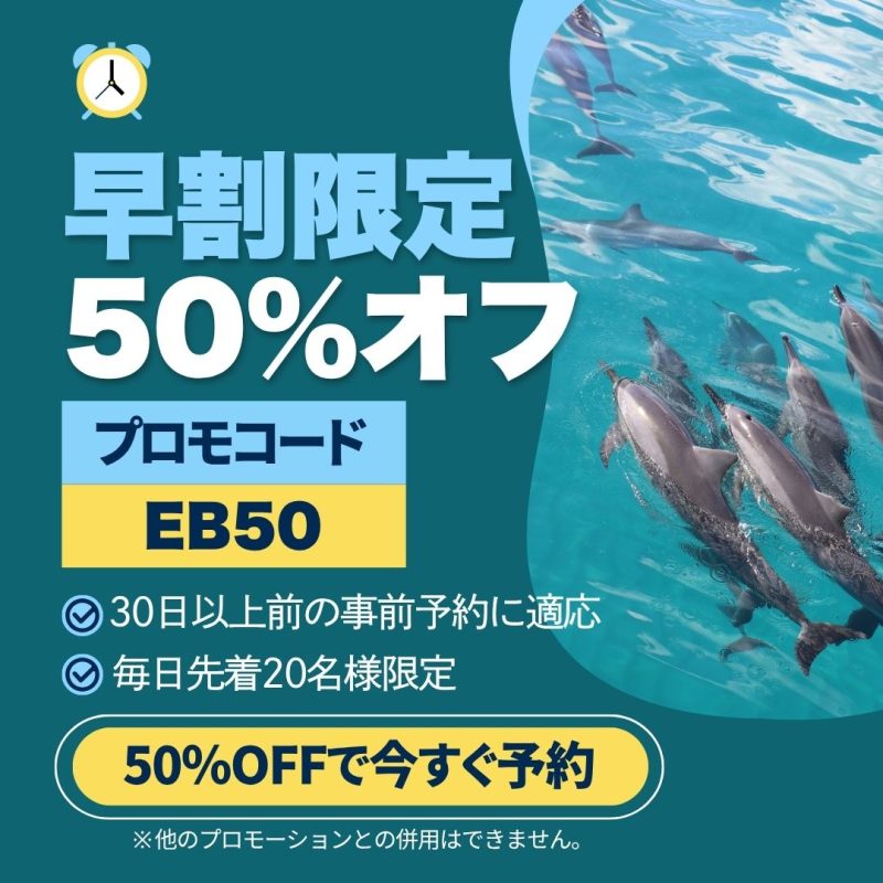 イルカツアー　早割り半額キャンペーン