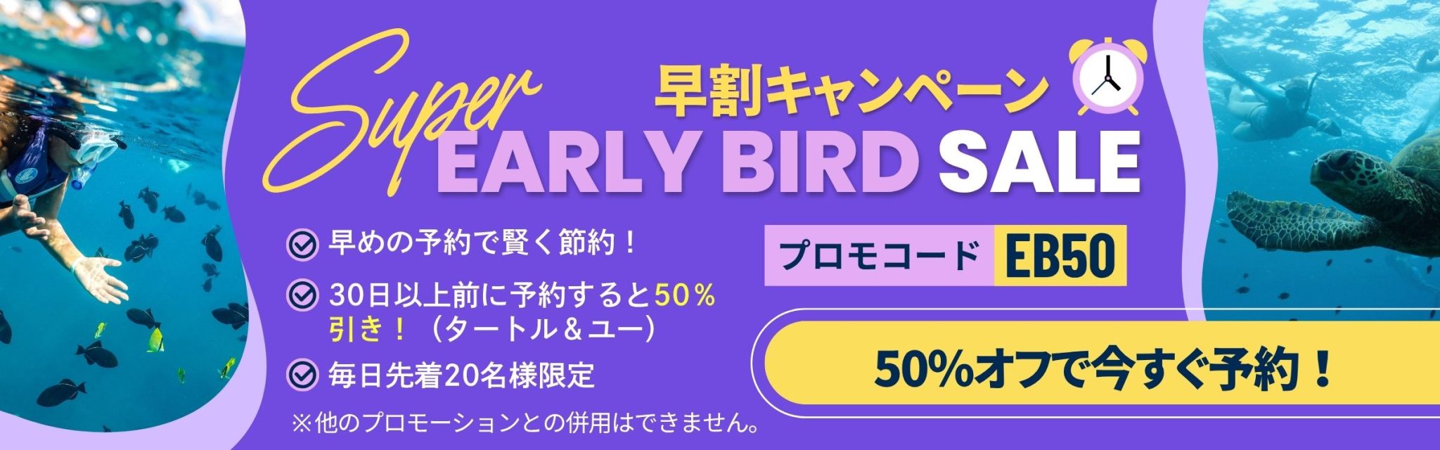 ウミガメツアー　早割５０％オフ キャンペーン