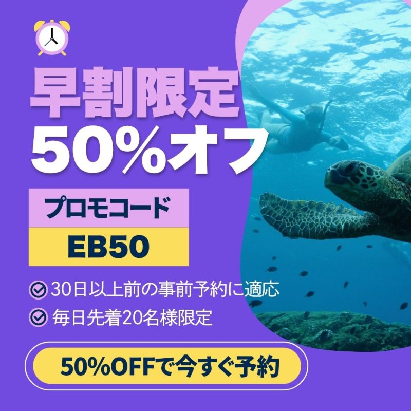 早割り半額キャンペーン　タートルシュノーケルツアー