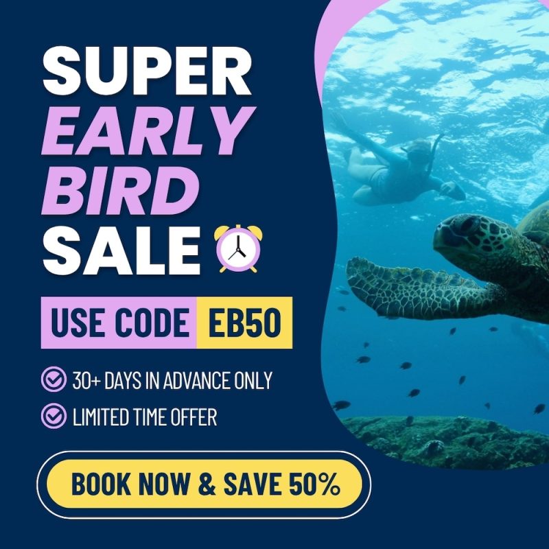 Early bird saving 50%off