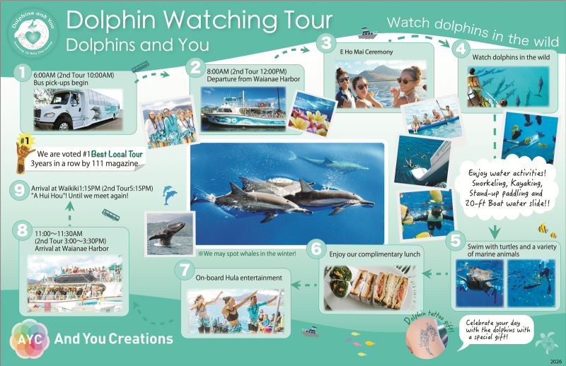 Oahu Dolphin Watching Tour Summary 1