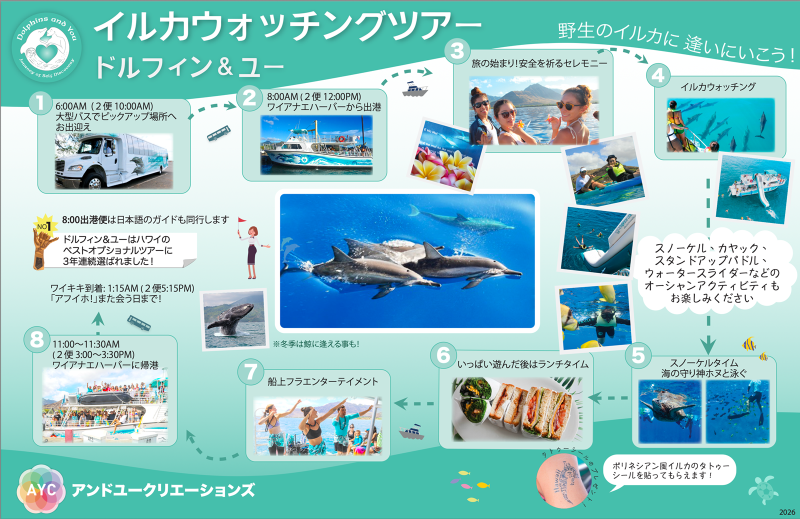 Oahu Dolphin Watching Tour Summary 1