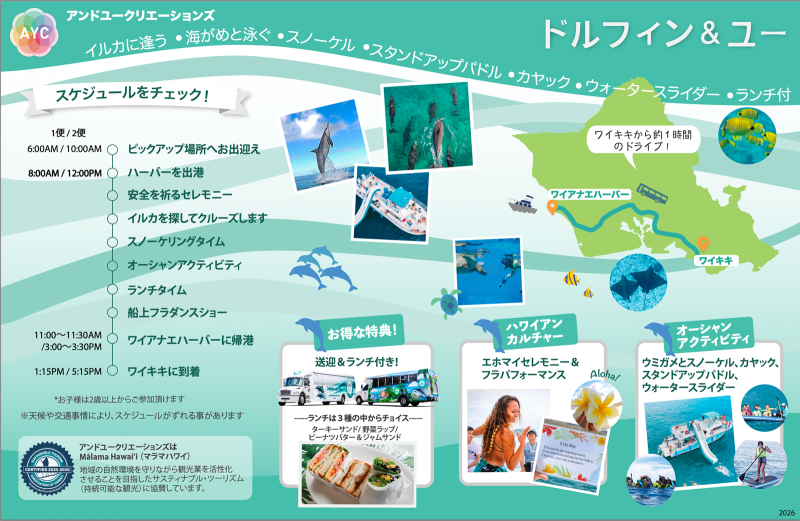Oahu Dolphin Watching Tour Summary 2