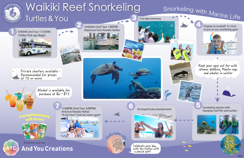 Turtle Snorkeling Tour Summary 1